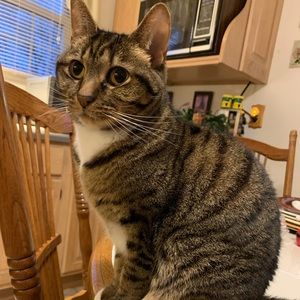 Meet your Posher, Jamie